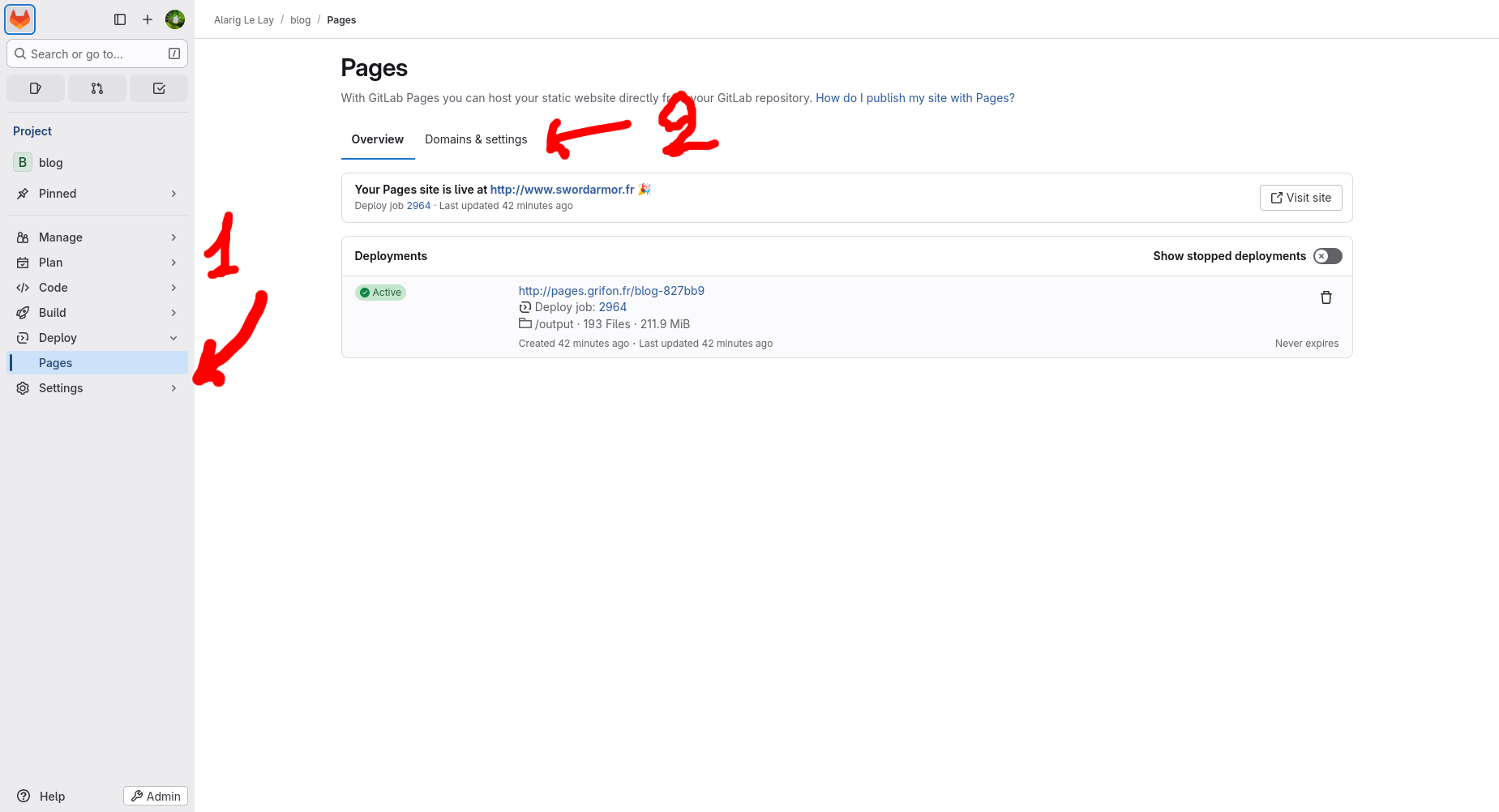 gitlab_pages_domain_1.png